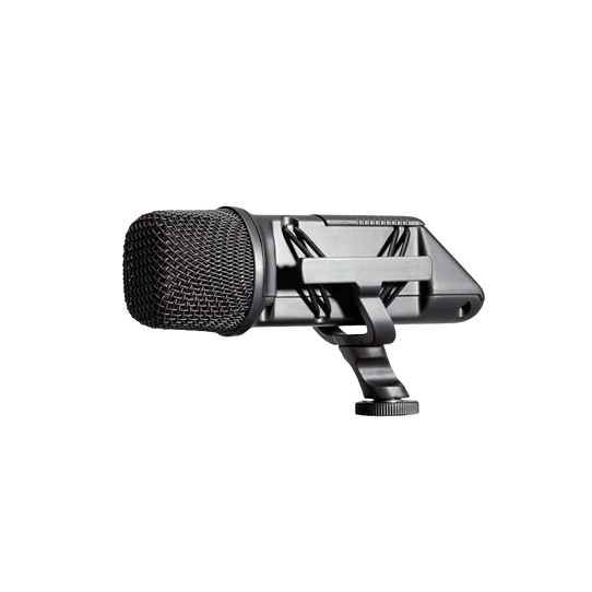 STEREO VIDEO MIC